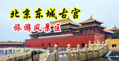 欧美女同在线视频中国北京-东城古宫旅游风景区